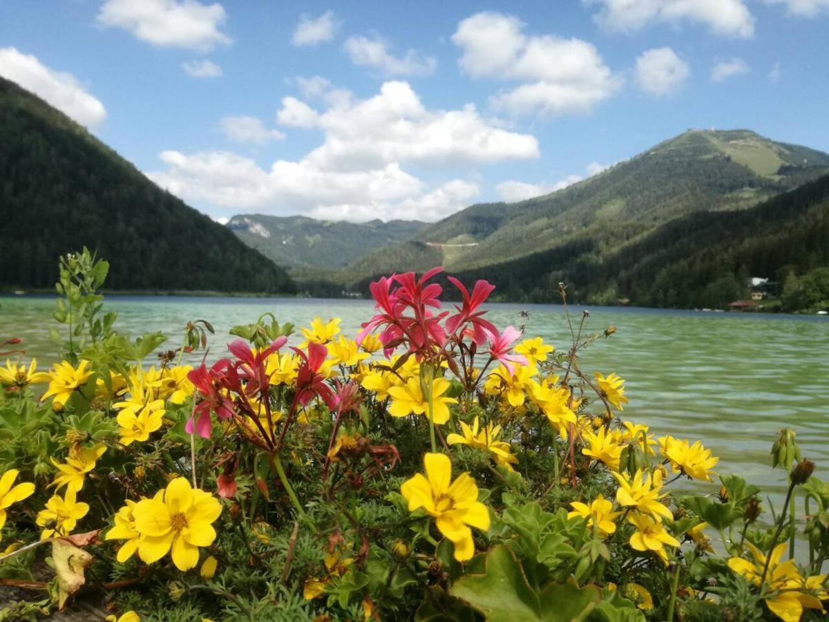Buergeralpe Apartment Mariazell
