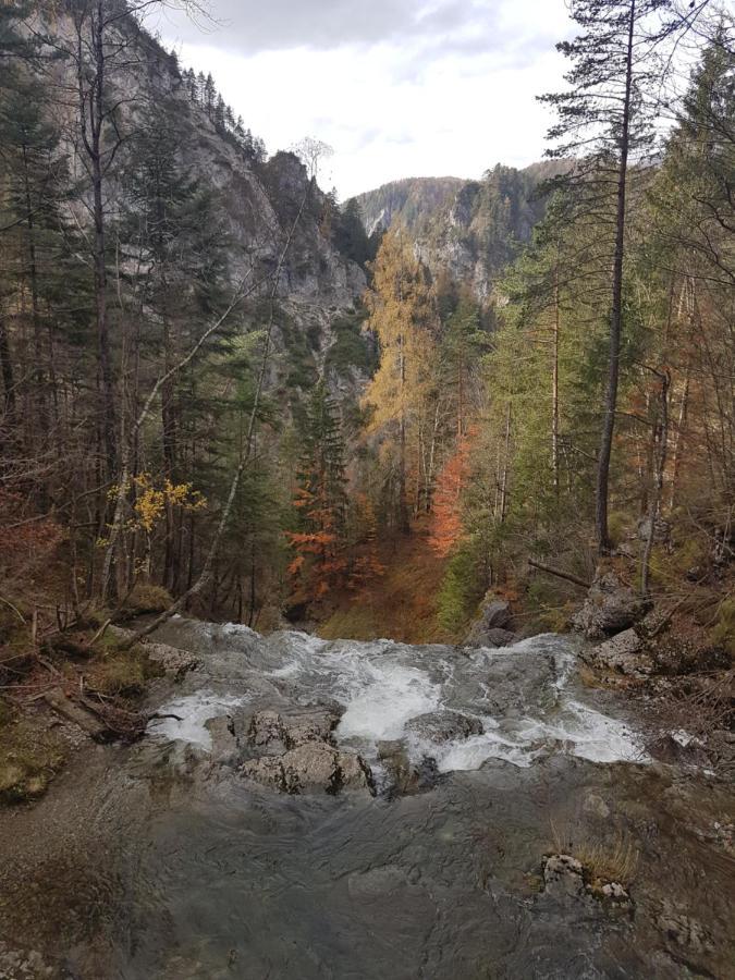 Apartment Buergeralpe