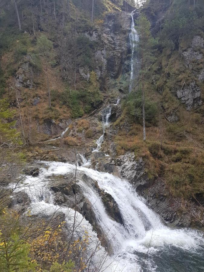 Buergeralpe Mariazell